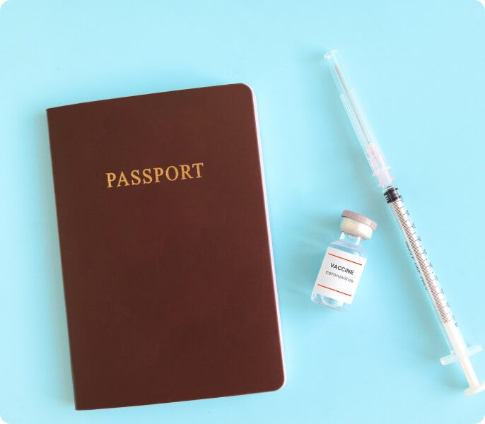 Viajar, mosquitos y una prevención que solemos postergar: la fiebre amarilla